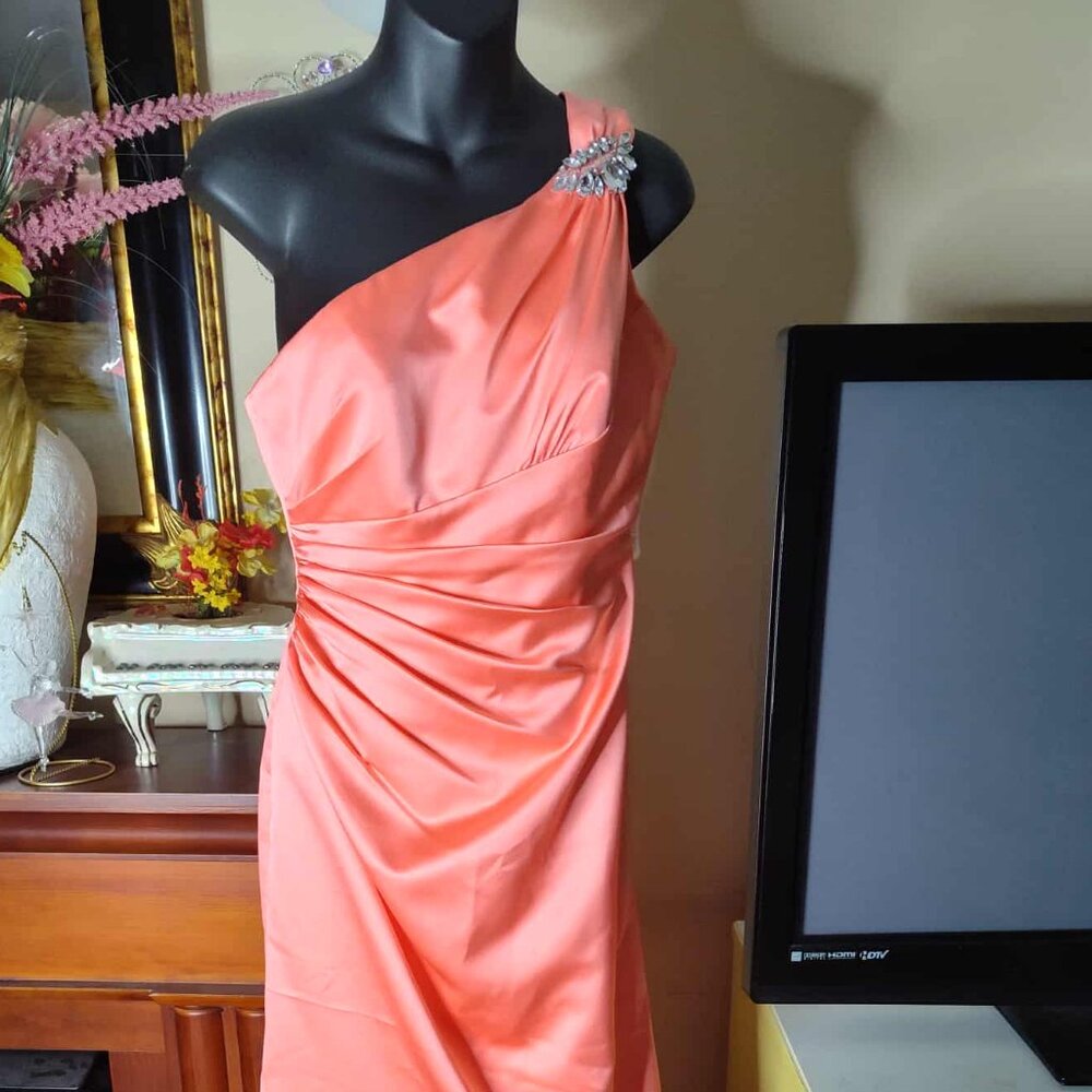 DAVID’S BRIDAL Coral One Shoulder Gown Dress Maid Of Honor / Bridesmaid Size 6